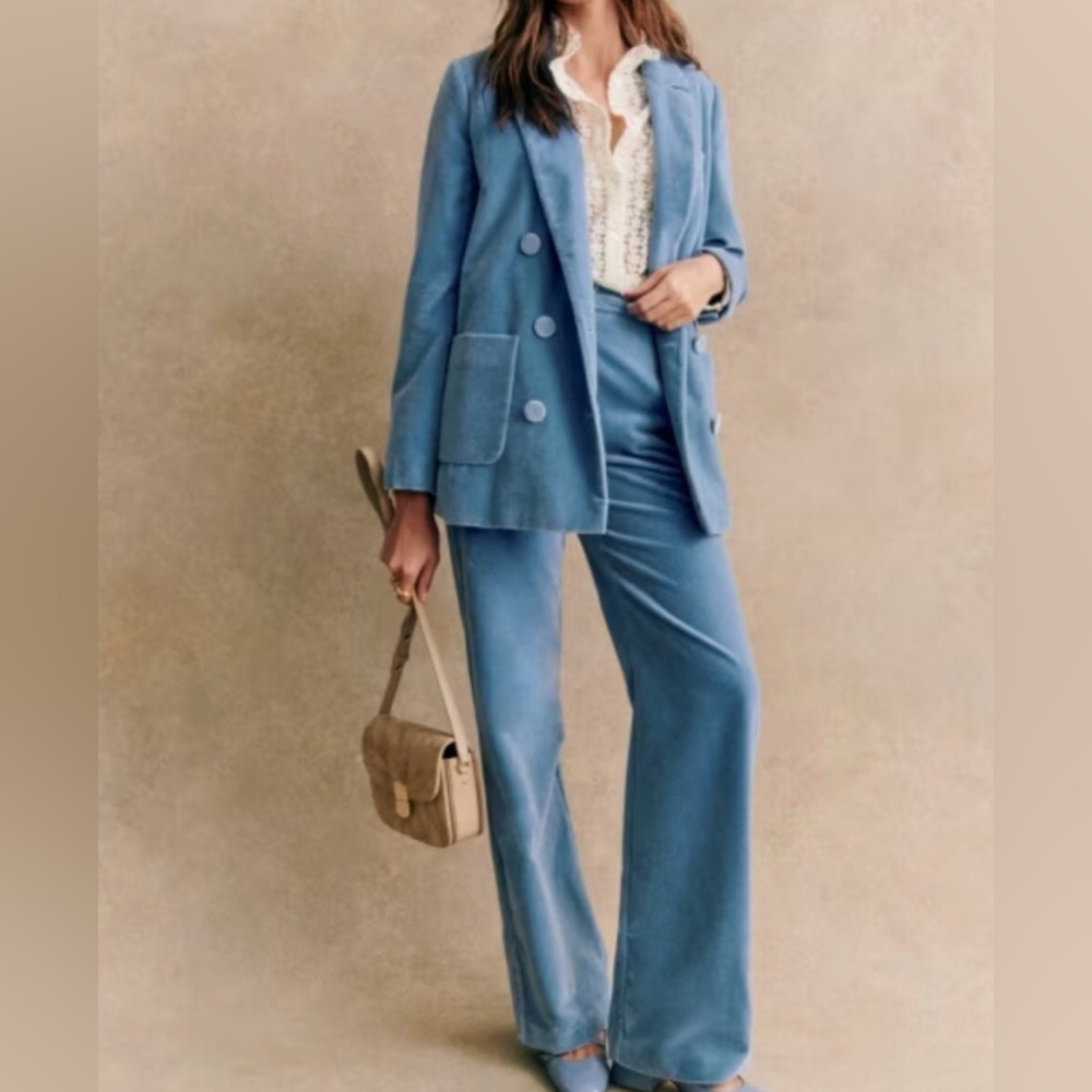 Sezane Blue Velvet Wide-Leg Pants Size 36